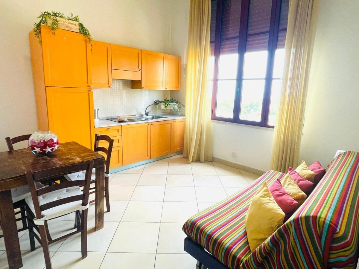 Regina Beach Holiday Apartments Tirrenia Ngoại thất bức ảnh